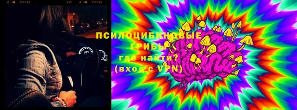 марихуана Абаза
