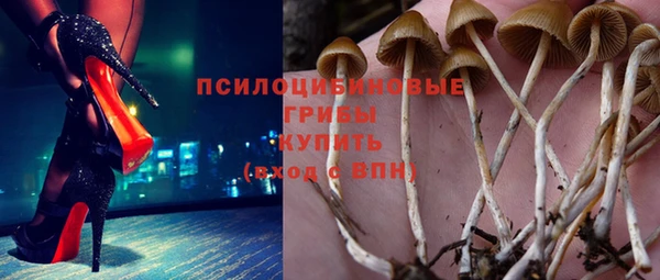 прущий лед Алексеевка