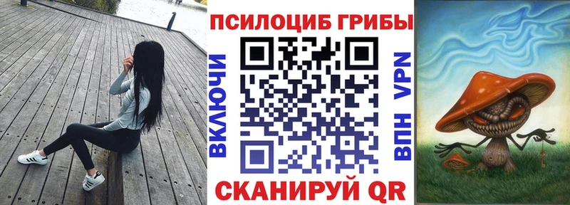 как найти   Новоаннинский  Псилоцибиновые грибы Magic Shrooms 