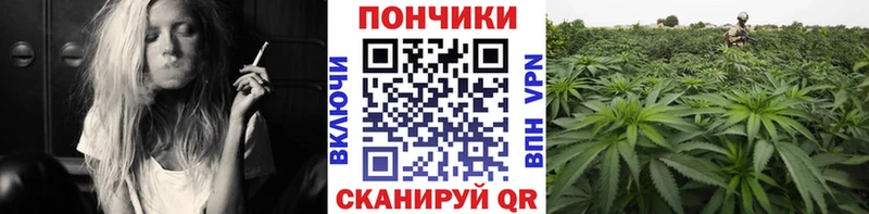 Бошки Шишки Amnesia Новоаннинский